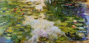 Water Lilies