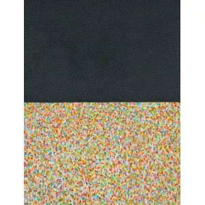 OB. DCCLXXXIX, 2002